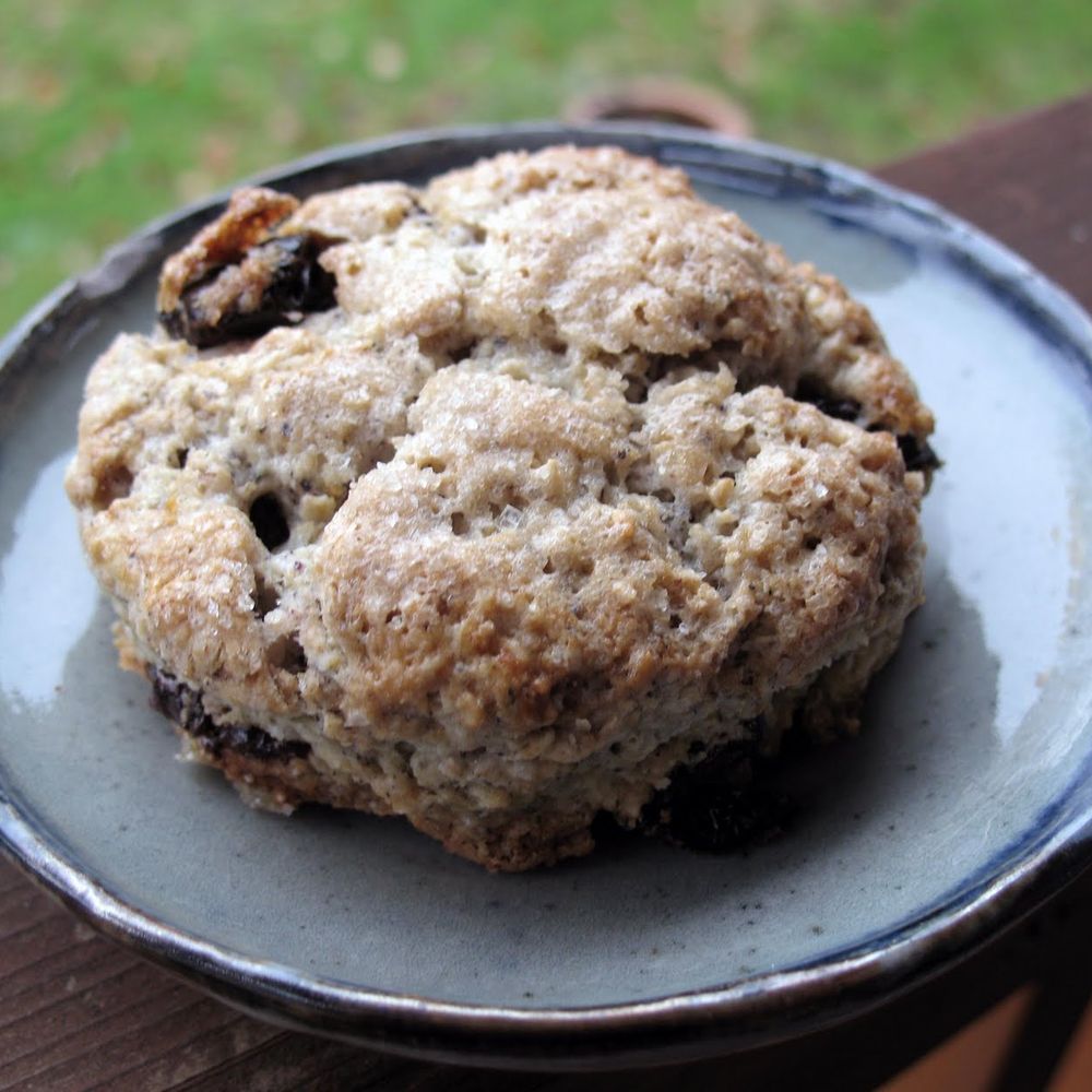oaty cornmeal scones with sour cherries (aka old-fashioned scones)