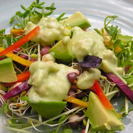 Salads by Amy 