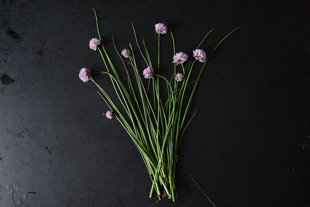All About Chives and Chive Blossoms, from Food52
