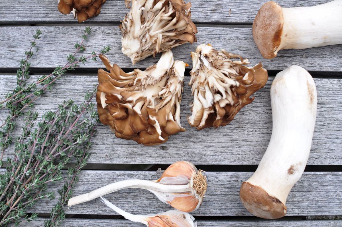 Best Hen Of The Woods Mushroom Recipe - How To Sauté Hen Of The Woods Mushrooms