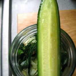 pickle me by lauren sikorski