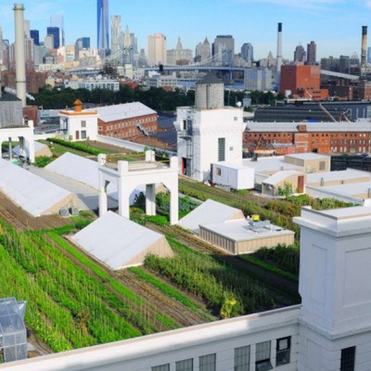 The History Of Rooftop Gardens