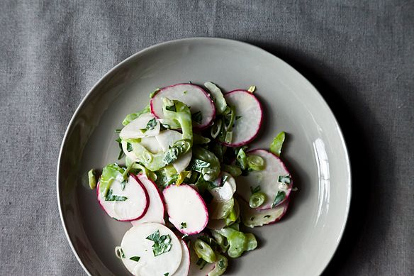 Crunchy Celery, Radish and Turnip Slaw in Blue Cheese Sauce from Food52
