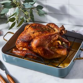 Chicken/Turkey by Barbara Chapman