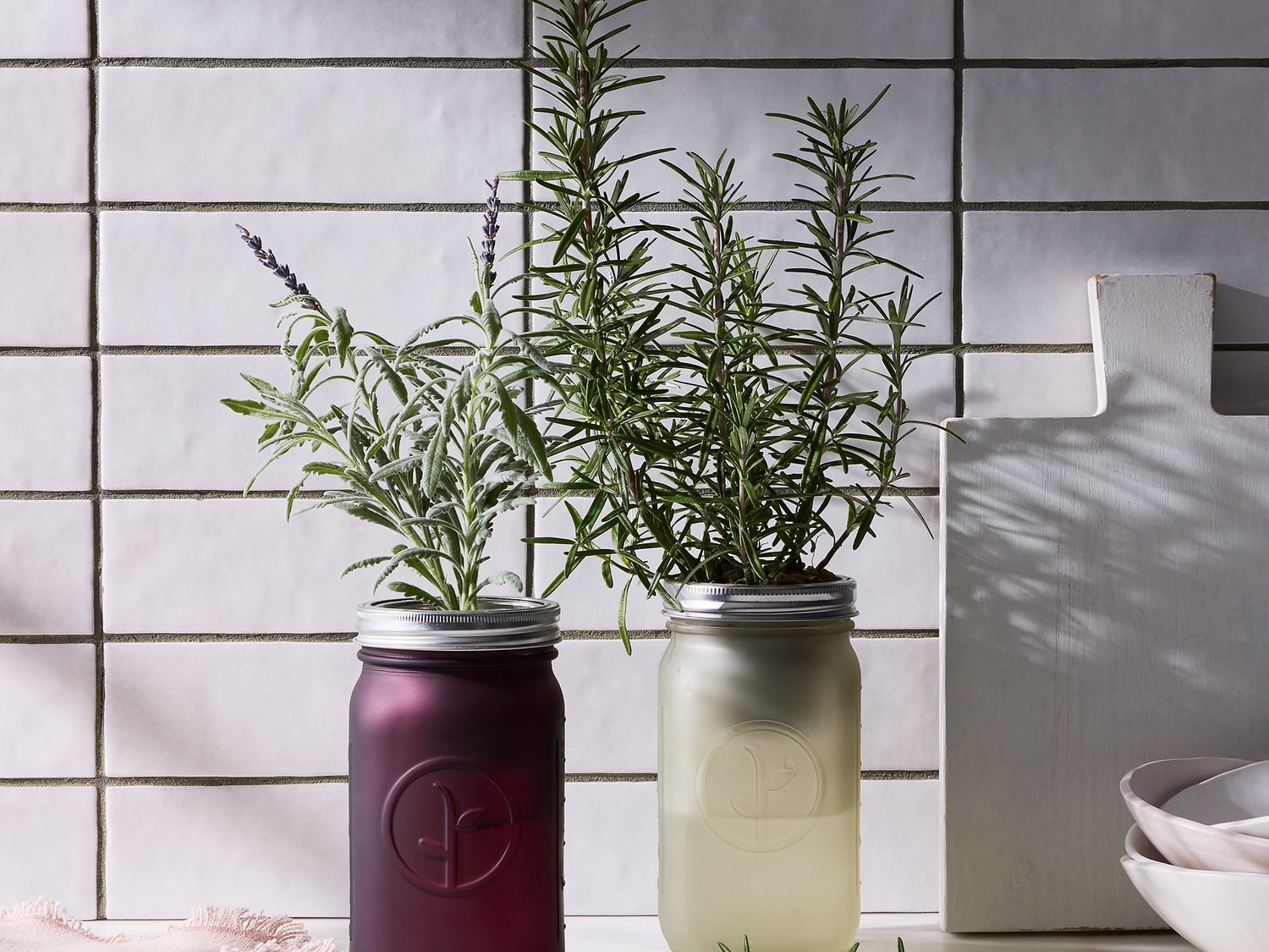 [Super Augapfelrahmen] Modern Sprout Garden Jar Herb Kit Varieties Food52 of (Set on Herb 3 2)