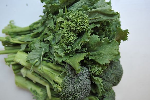 broccoli rabe