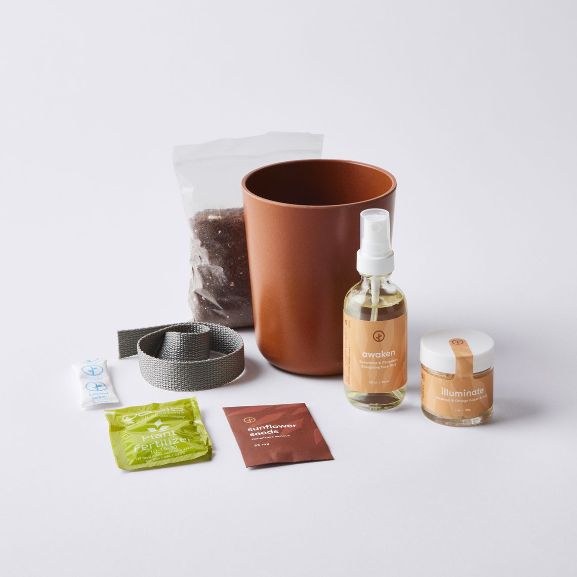 Modern Take Options with on 3 Grow Gift Sets, Food52 Care Kit Sprout