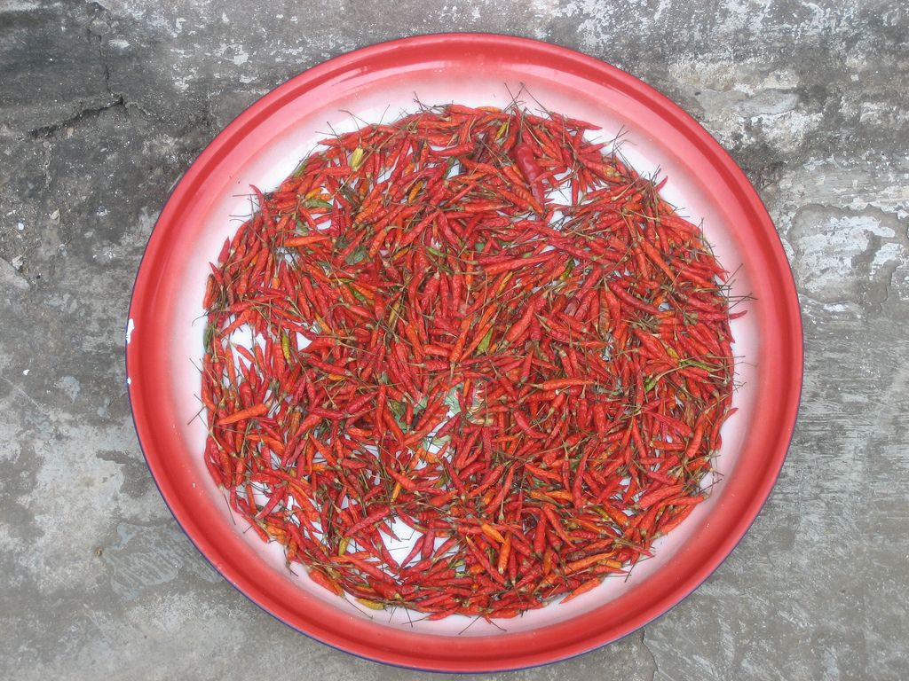 Laos Peppers