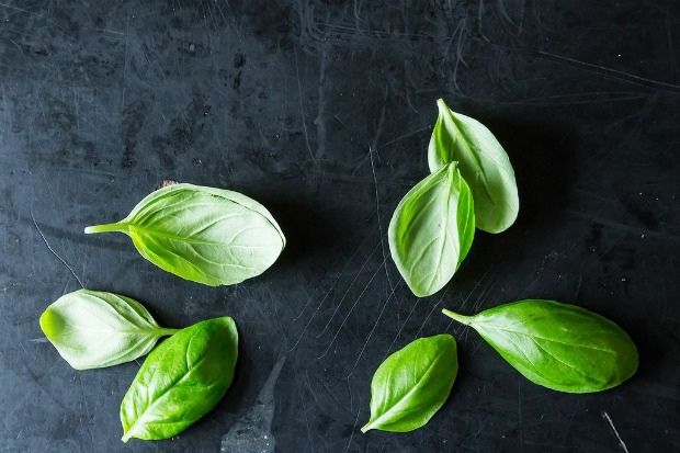 Get Down & Dirty with Basil, from Food52