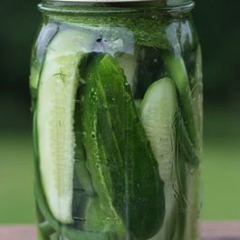 Pickles by Farrell May Podgorsek