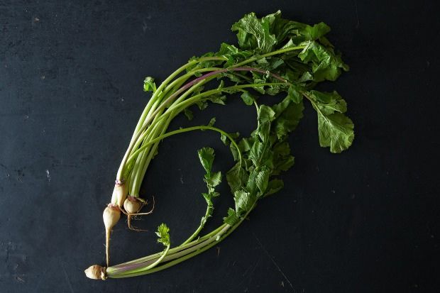 Everything You Need to Know About Turnip Greens, from Food52