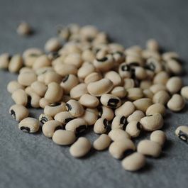 Beans and Legumes by Lucie Moulton
