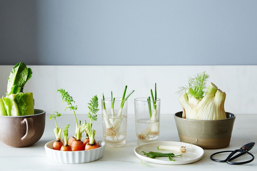5 Vegetables That Regrow Themselves With Just Water & Sunlight