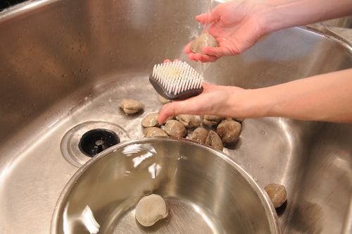 cleaning clams
