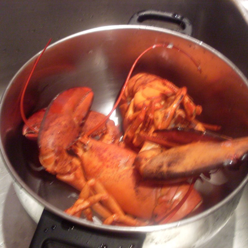 lobster pasta greek style "astakomakaronada"