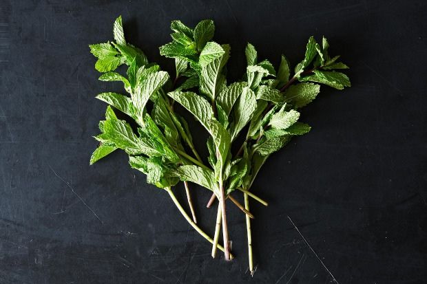 Mint: The Hospitable Herb, from Food52