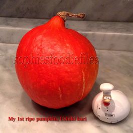 Pumpkin by Sophies Foodie