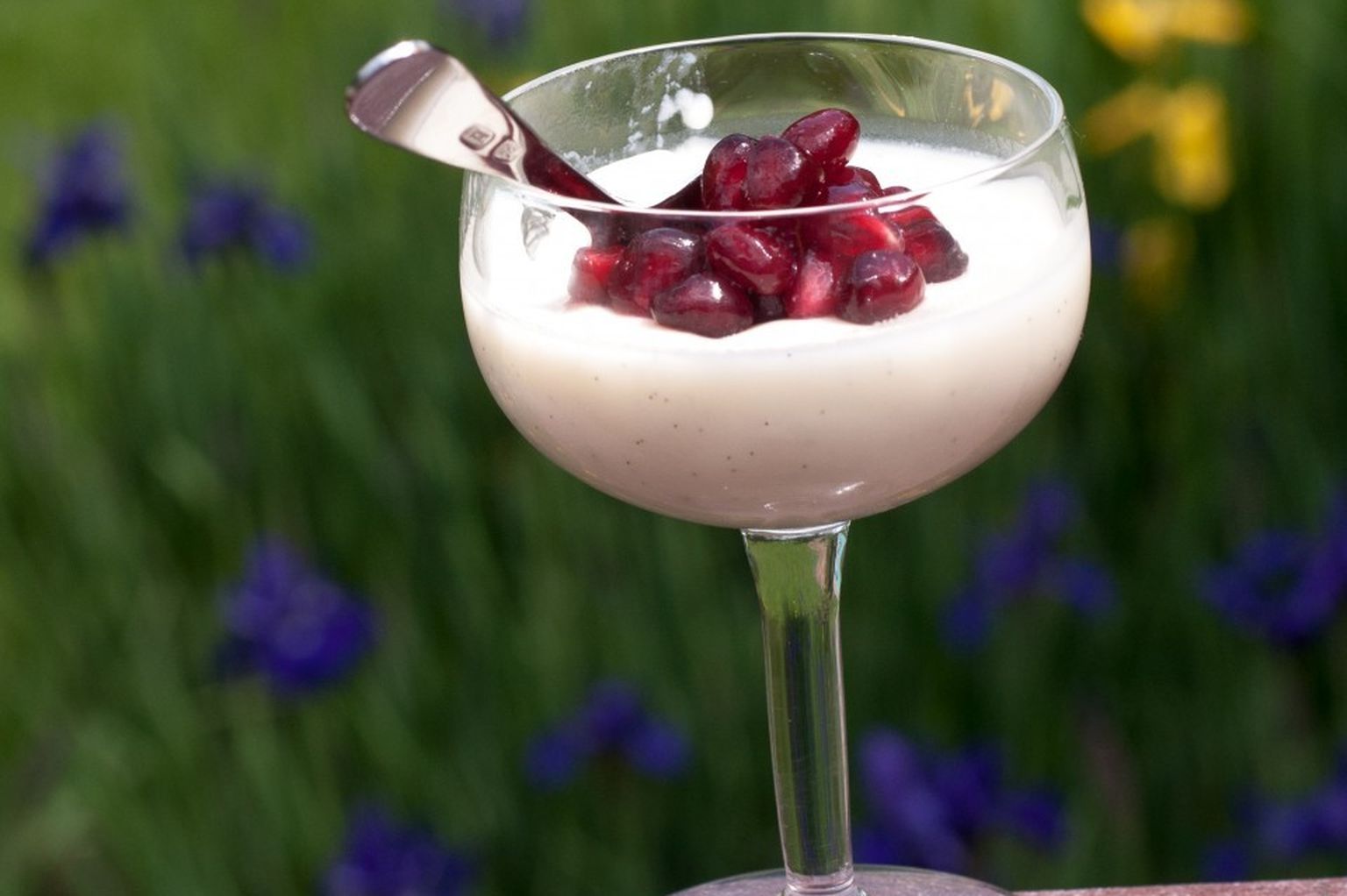 Vanilla Buttermilk Panna Cotta With Roasted Cherries Recipe On Food52
