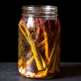Ferments by Julie Foster Wright