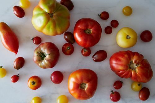 Tomatoes on Food52