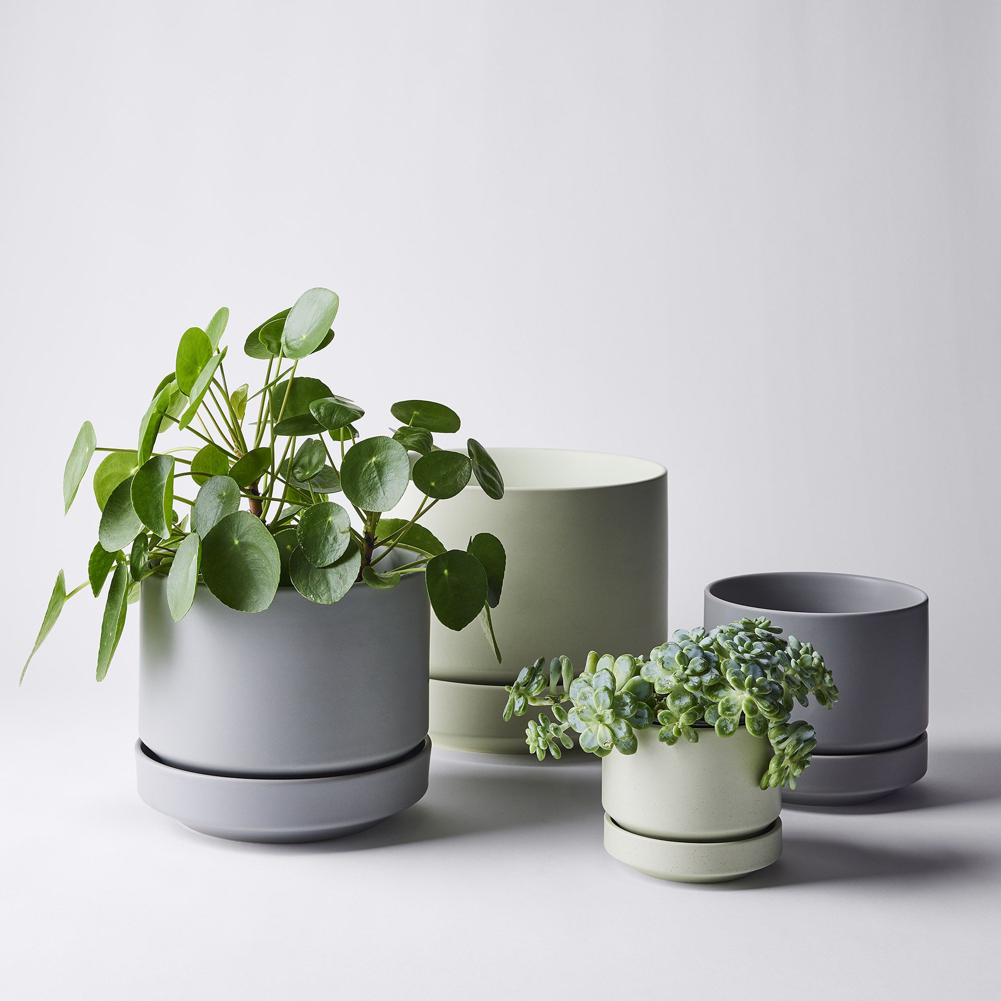 High-Fired Stoneware Planters Food52 on