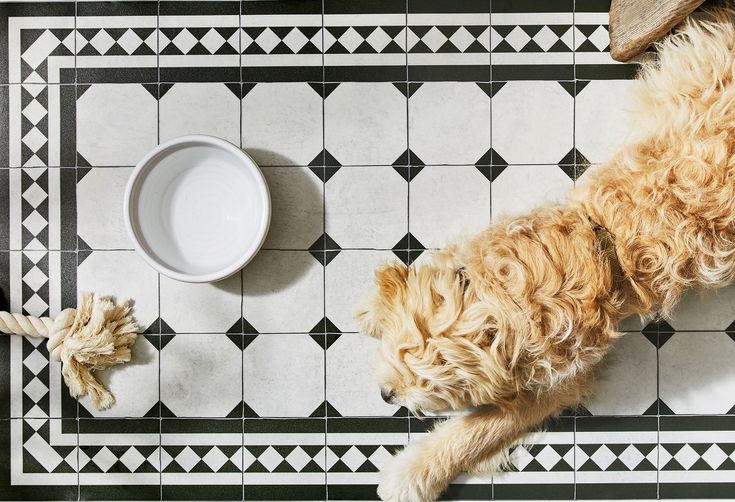5 Best Kitchen Floor Materials to Weather All the Spills & Stains
