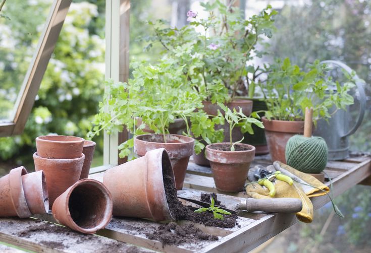 Think Gardening Only Happens in Spring? Think Again.
