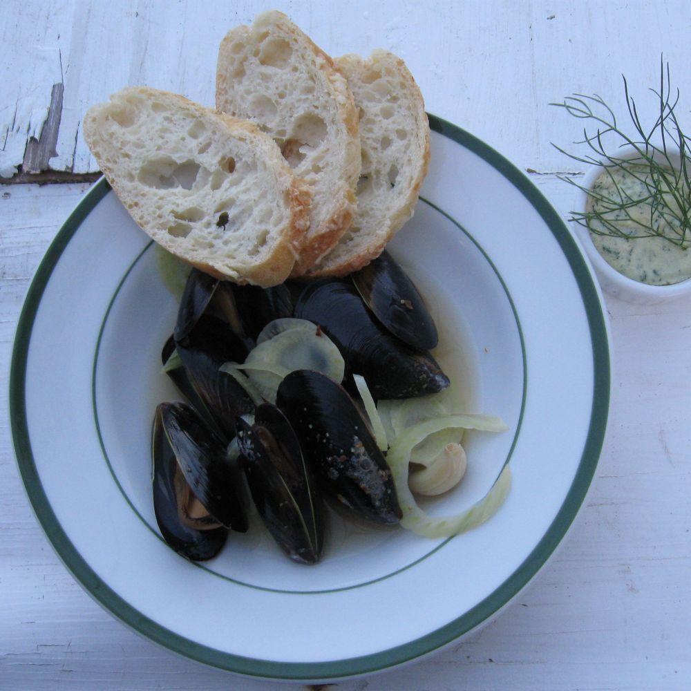 mussels steamed in pernod, cooled in a fennel aïoli dip