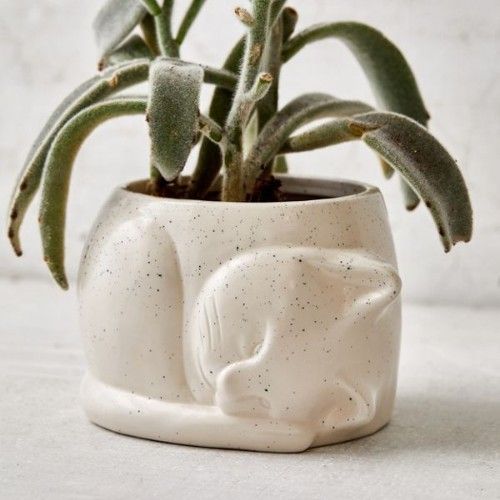 11 Very Cute Home Accessories Every Cat Lover Should Own