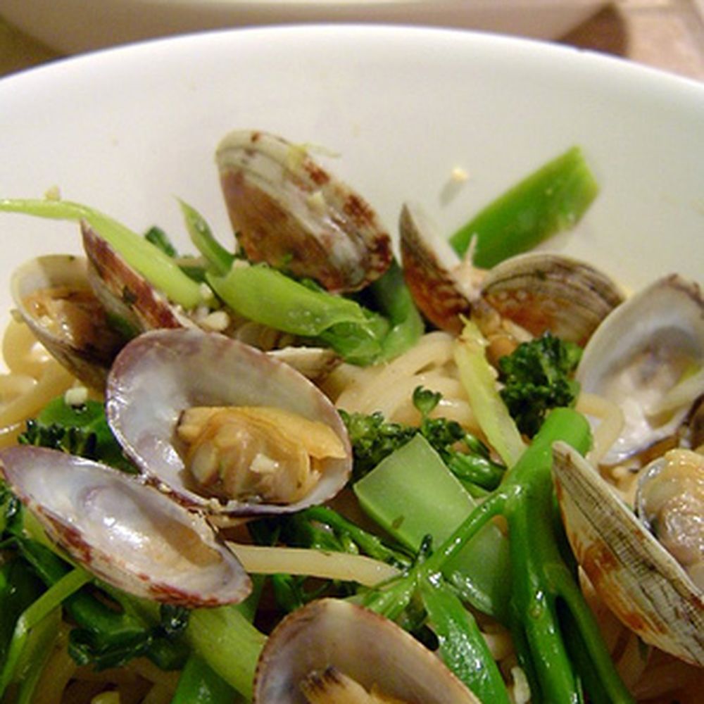 steamed clam and  broccolini spaghetti
