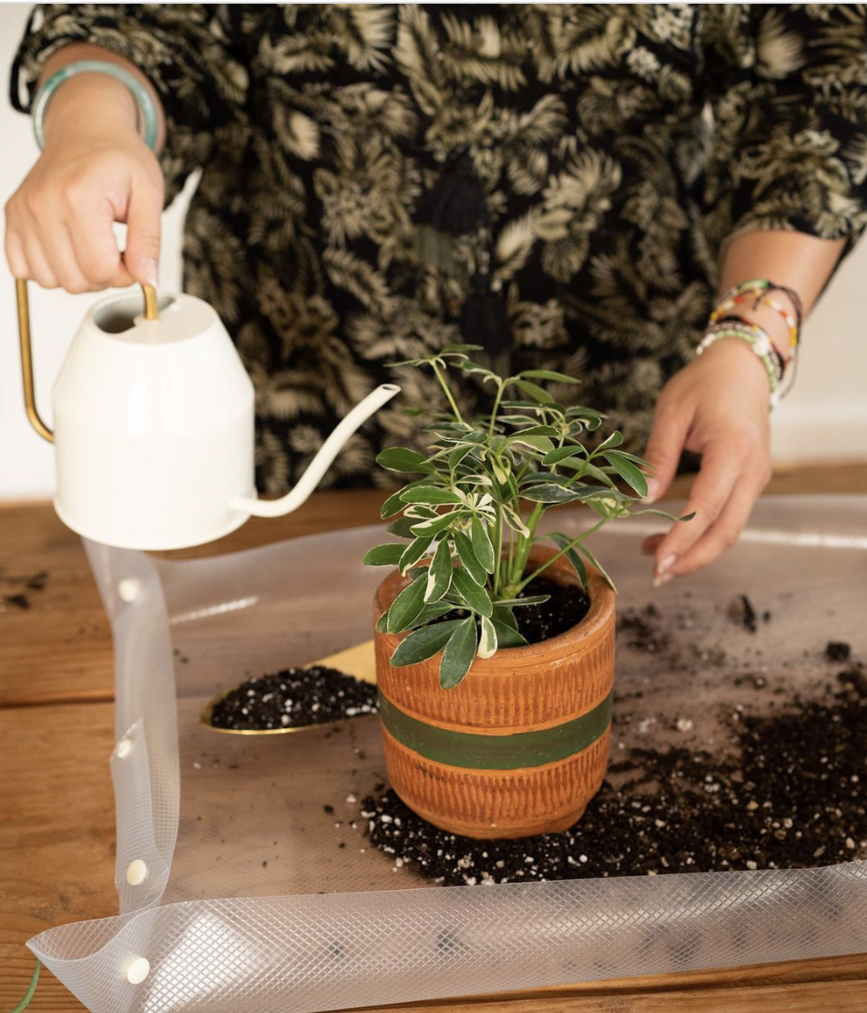 17 Essential Gardening Tools the Pros Swear By