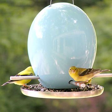 Egg Bird Feeder
