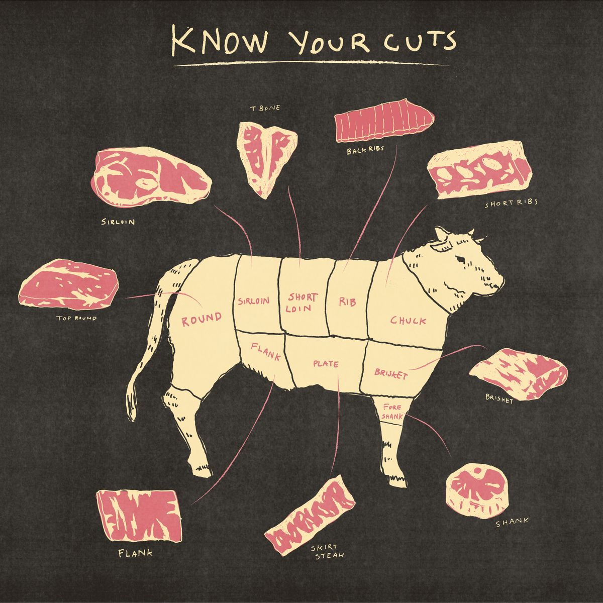 Your Guide To Beef Cuts,Guard Dogs Breeds