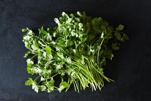 Cilantro: The Divisive Herb, from Food52