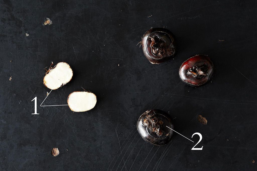 All About Fresh Water Chestnuts, from Food52