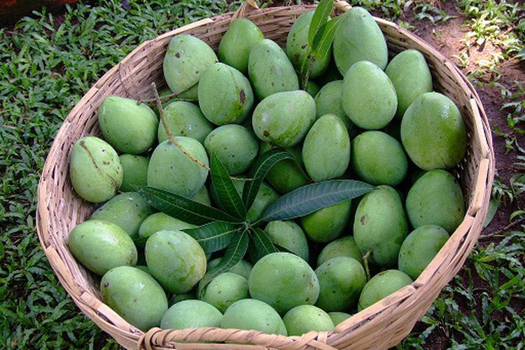 Best Mustard Mango Pickle Recipe - How To Make Aam Ka Achaar