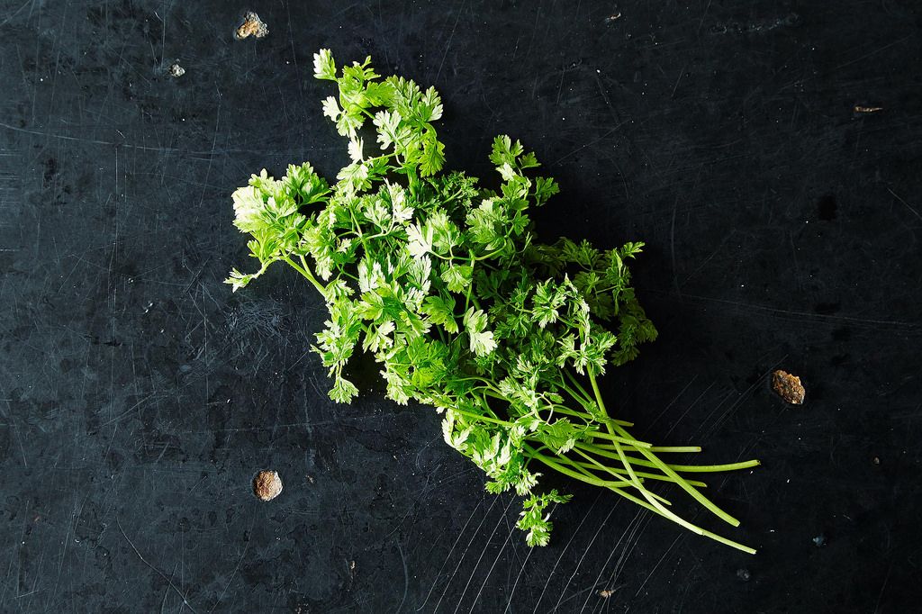 Chervil and the Best Ways to Use It, from Food52