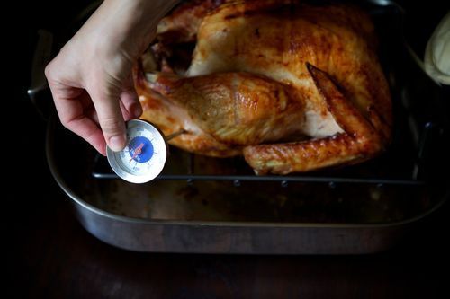Check temperature | How to Cook a Turkey Perfectly for Thanksgiving