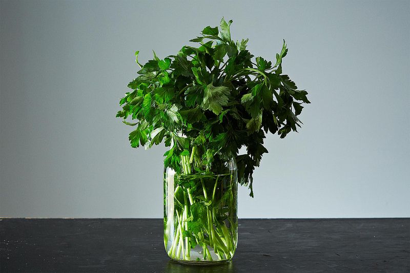 Fresh herbs from Food52