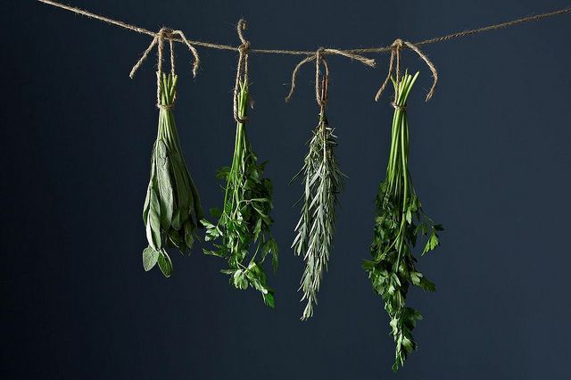 How to Dry Your Herbs