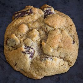 cookie by lauren sikorski