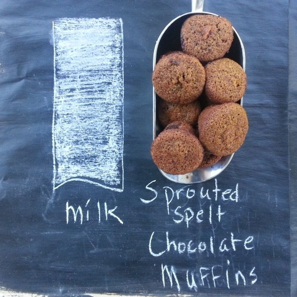 the mini muffin