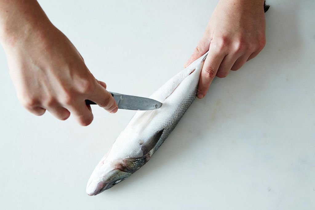 How to Gut a Fish
