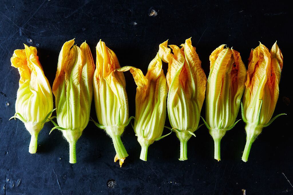 Butternut Squash Flower Buds: Unlock the Power of These Edible Blossoms