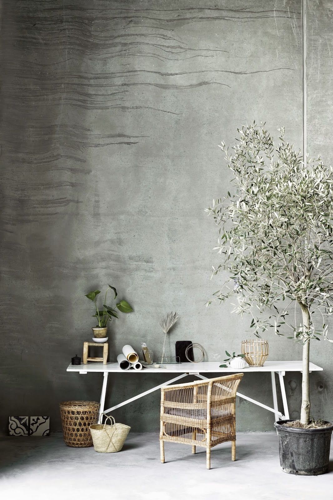 8 Types of Indoor Fruit Trees You Can Grow in Your Living Room
