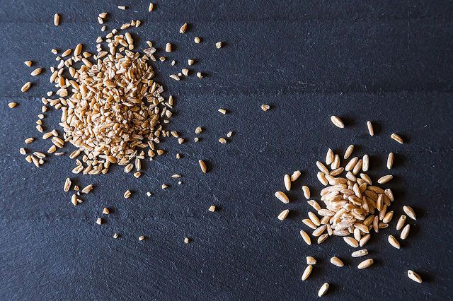 Farro from Food52