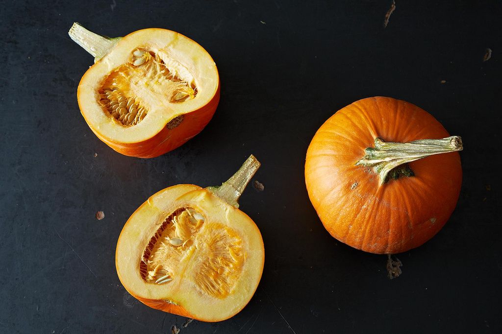 Everything You Need to Know About Pumpkins, from Food52