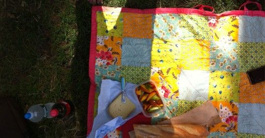 30/30 a picnic in Central Park