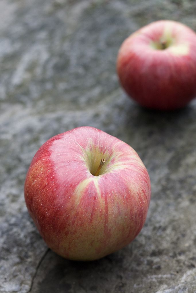 11 Best Apples for Apple Pie - Favorite Apple Varieties ...