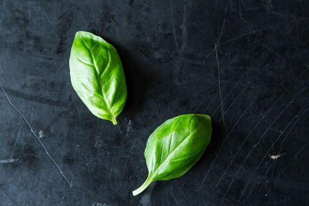 Down & Dirty with Basil, from Food52